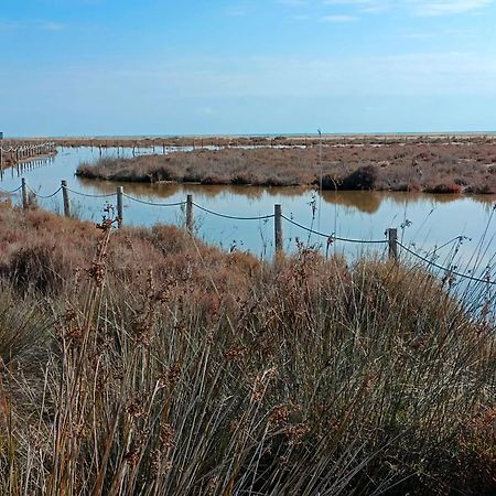 Rincon Del Delta, Apartamento En El Delta Del Ebro, Playa Trabucador Amposta, Tarragona L'Eucaliptus Kültér fotó