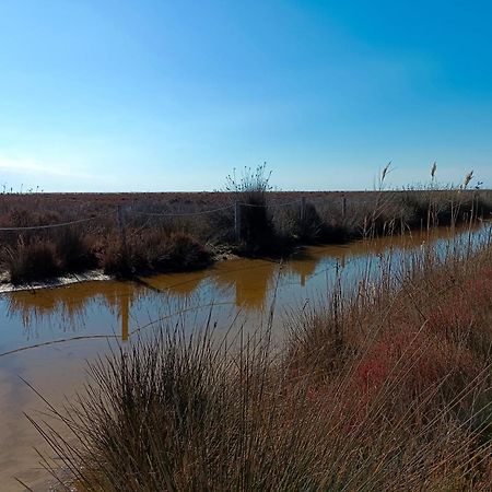 Rincon Del Delta, Apartamento En El Delta Del Ebro, Playa Trabucador Amposta, Tarragona L'Eucaliptus Kültér fotó