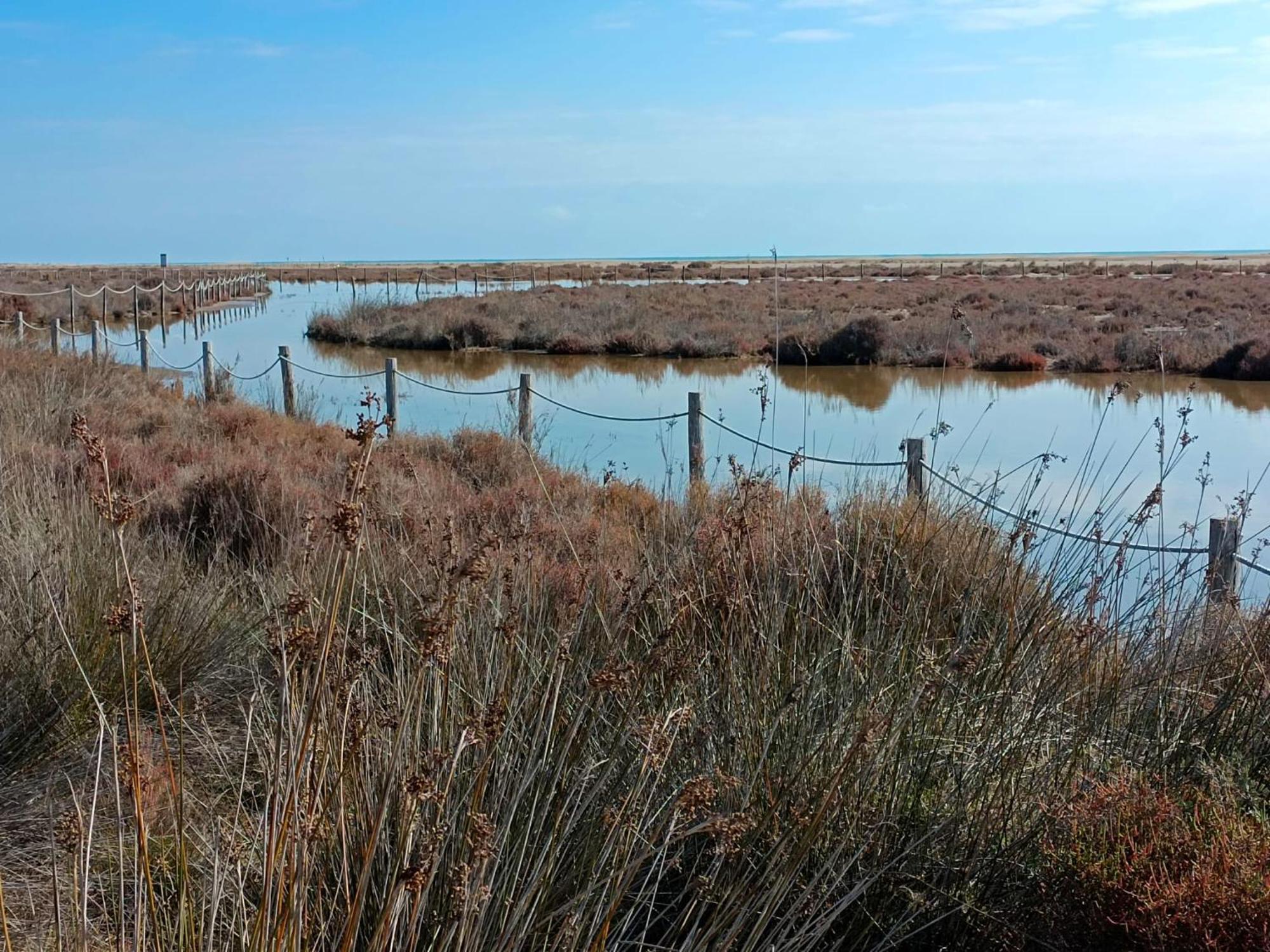 Rincon Del Delta, Apartamento En El Delta Del Ebro, Playa Trabucador Amposta, Tarragona L'Eucaliptus Kültér fotó