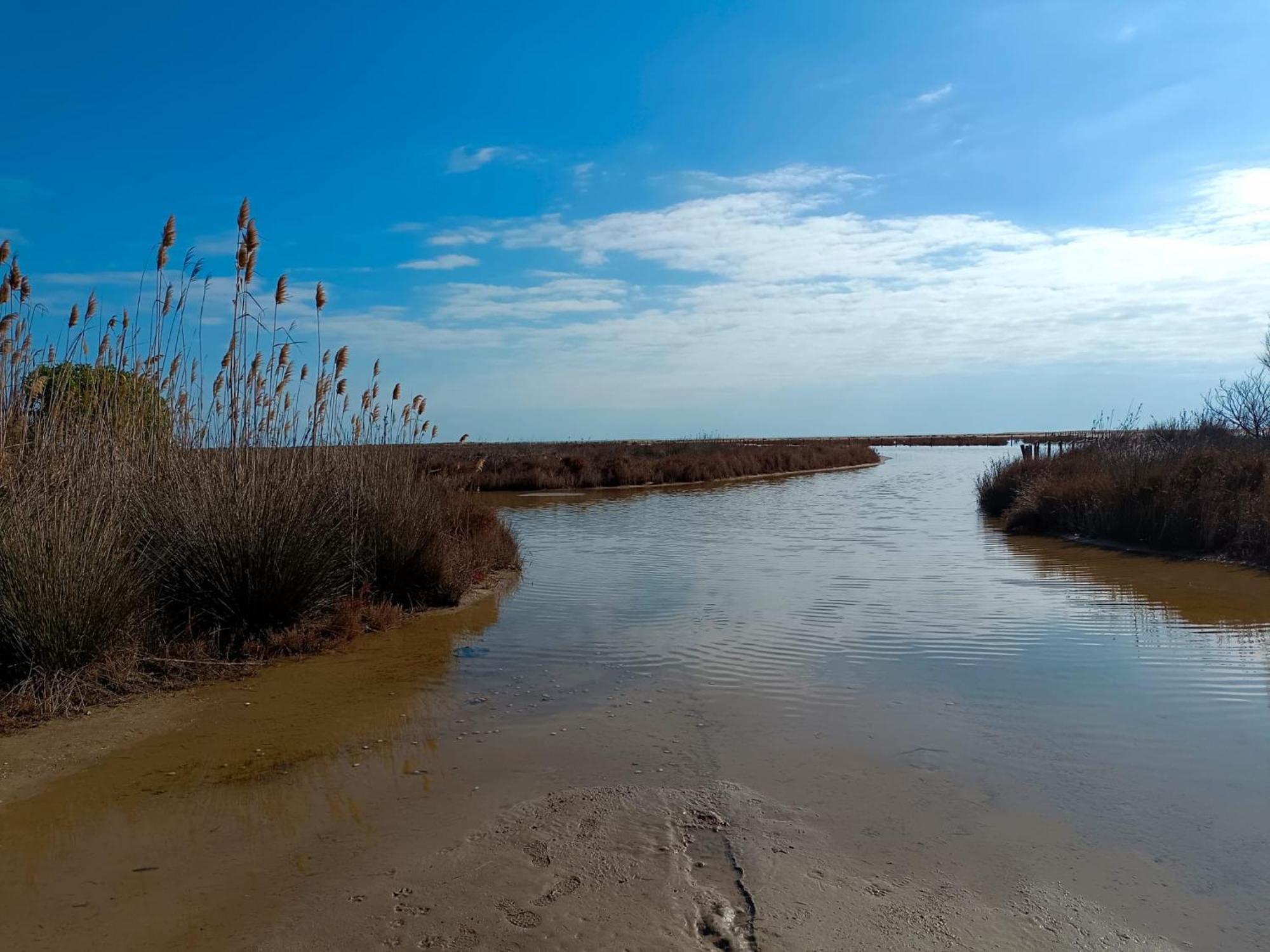 Rincon Del Delta, Apartamento En El Delta Del Ebro, Playa Trabucador Amposta, Tarragona L'Eucaliptus Kültér fotó