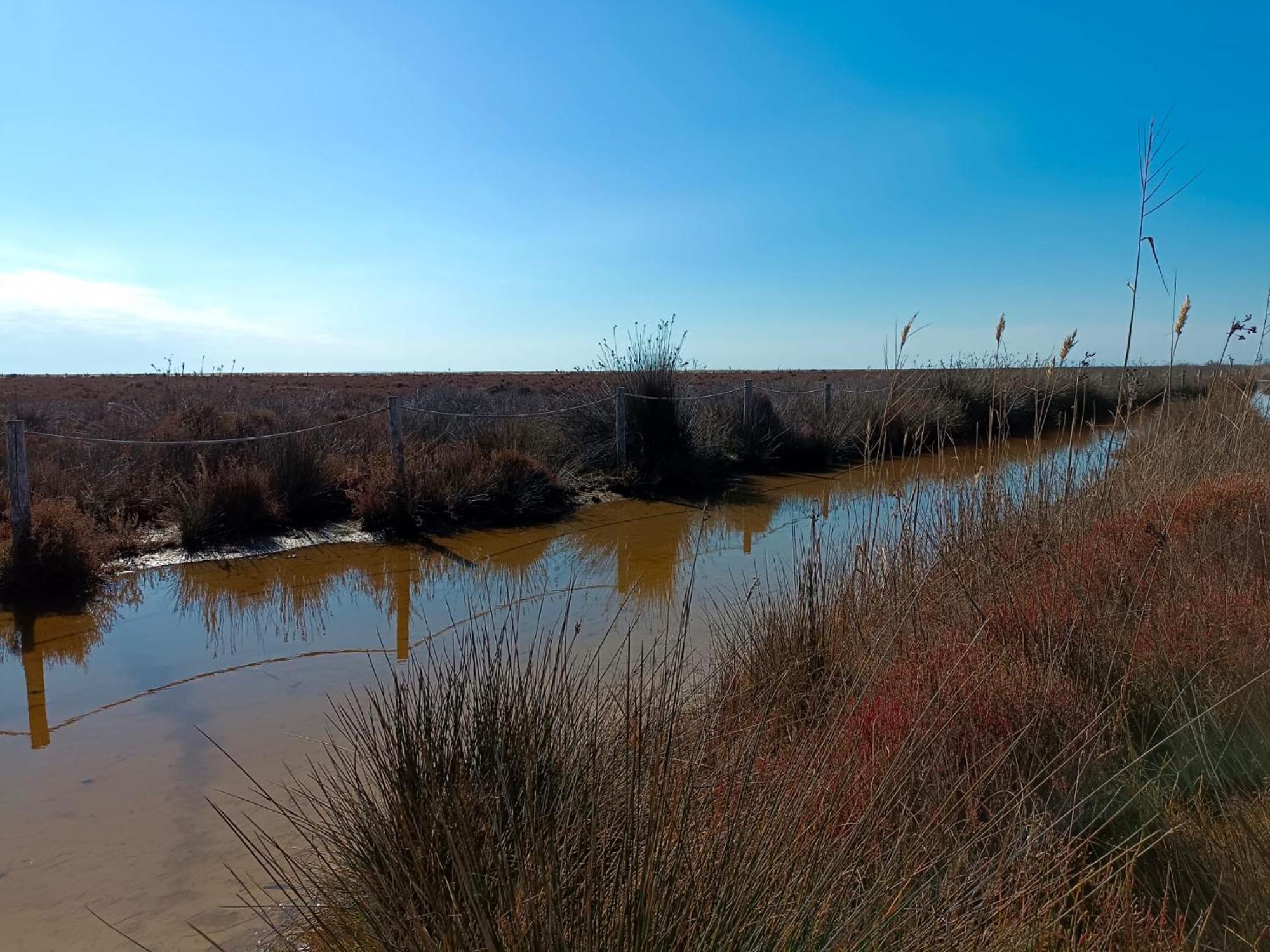 Rincon Del Delta, Apartamento En El Delta Del Ebro, Playa Trabucador Amposta, Tarragona L'Eucaliptus Kültér fotó
